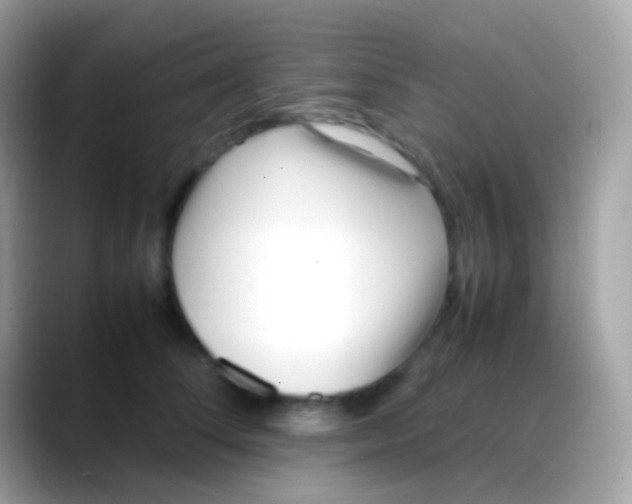 X0000088050708200706011342