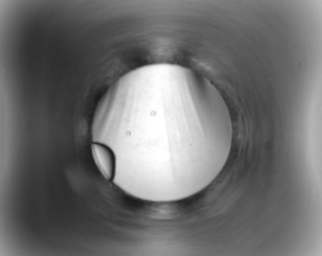 X0000088050711200706011342