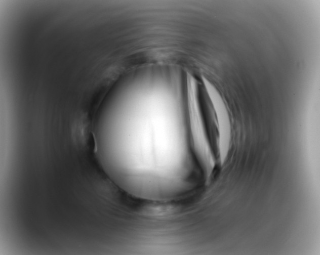 X0000088050712200706011342
