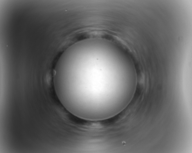 X0000088050715200706011342