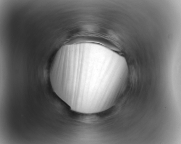 X0000088050716200706011342