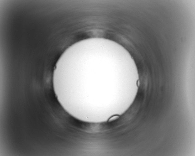 X0000088050717200706011342