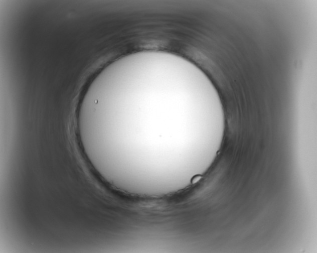 X0000088050721200706011341