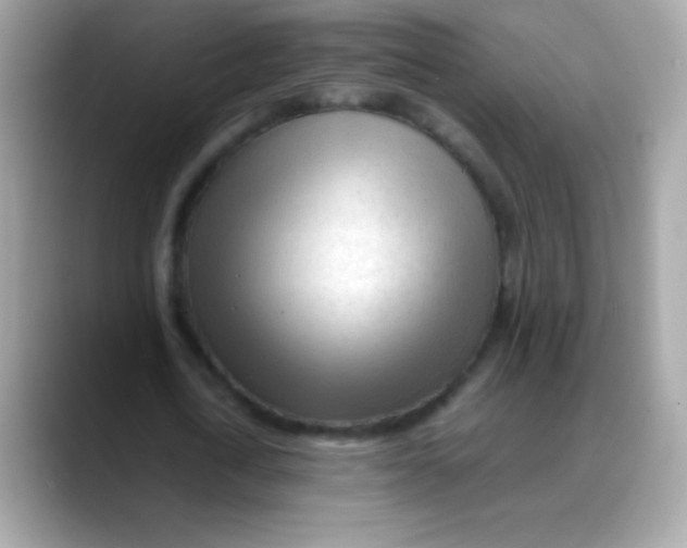 X0000088050722200706011341