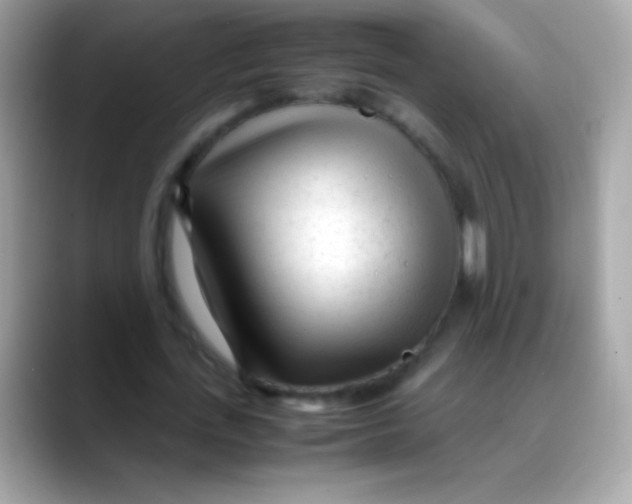 X0000088050723200706011341