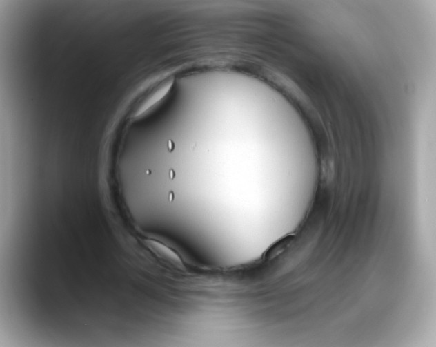 X0000088050724200706011341