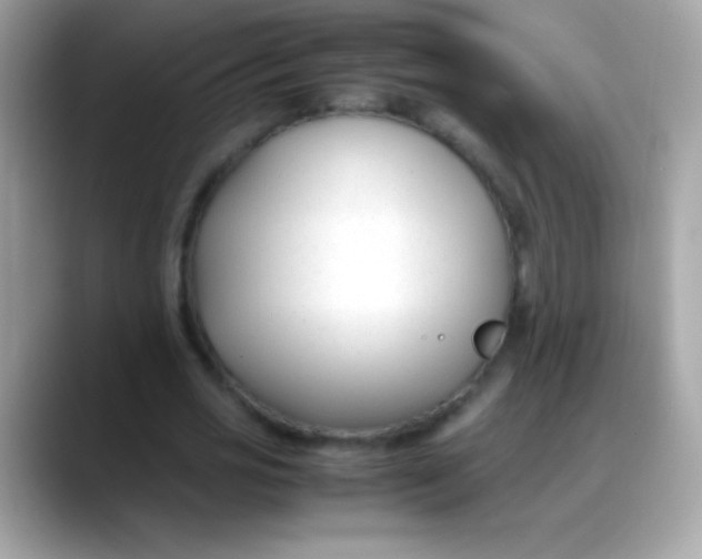 X0000088050725200706011341
