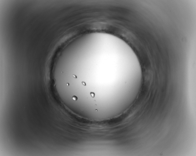X0000088050727200706011341