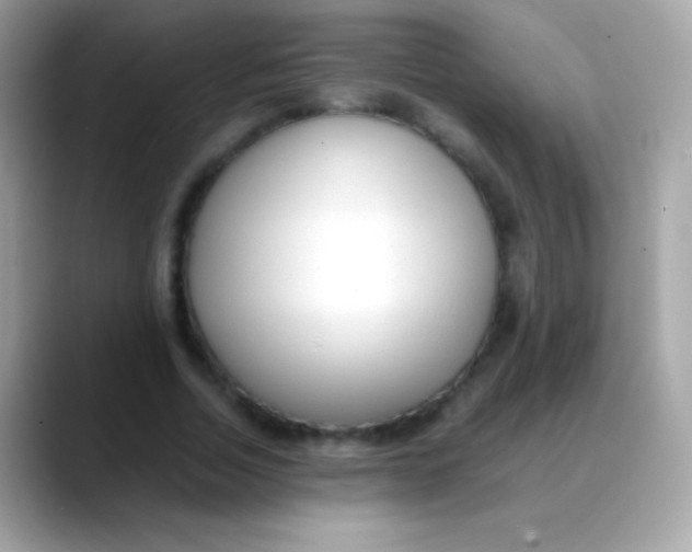 X0000088050730200706011341