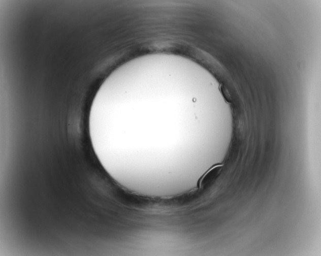 X0000088050732200706011342
