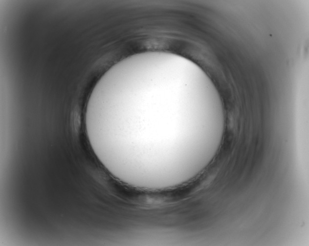 X0000088050733200706011342