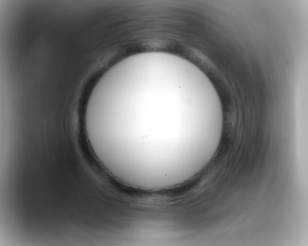 X0000088050734200706011342