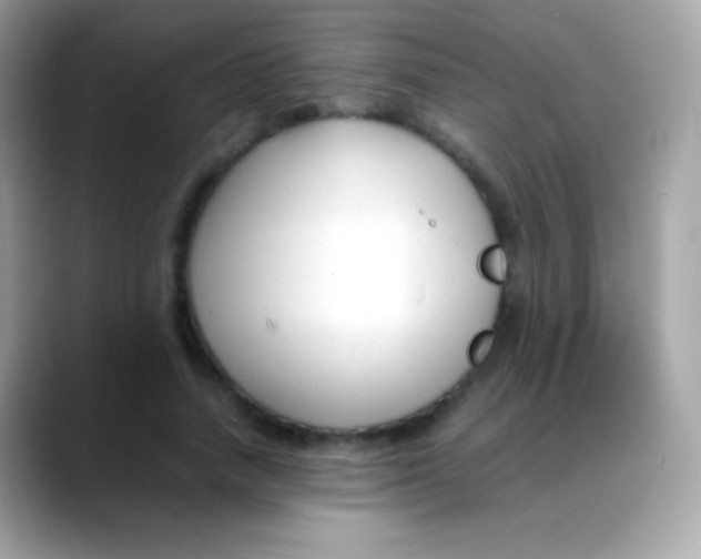 X0000088050738200706011342