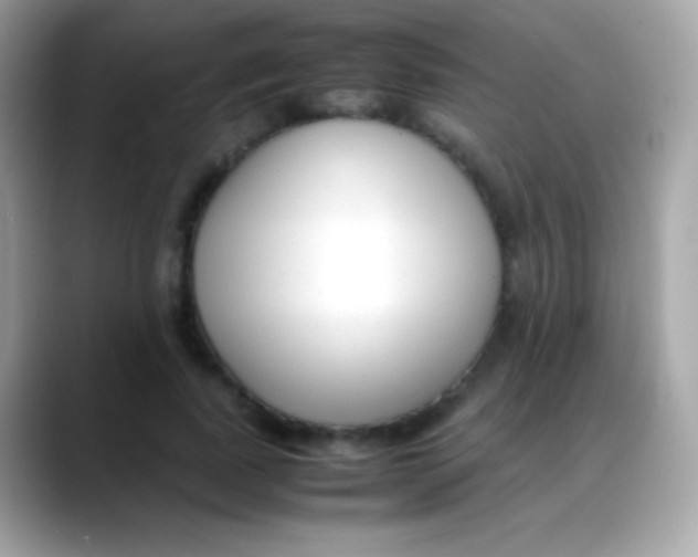 X0000088050739200706011342