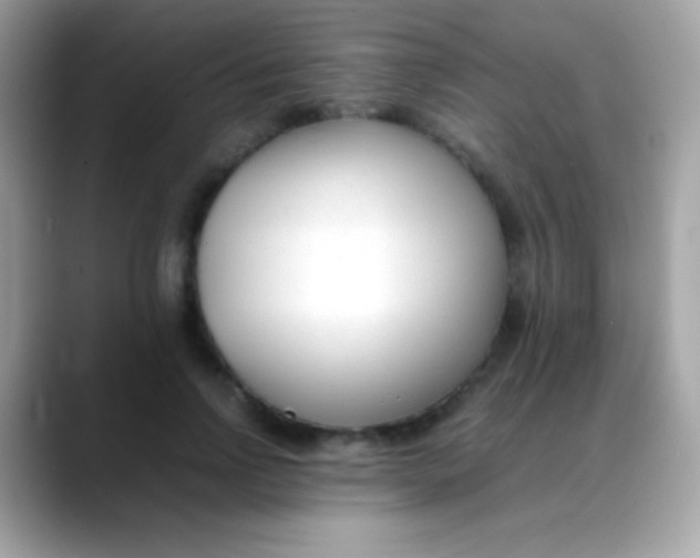 X0000088050742200706011342