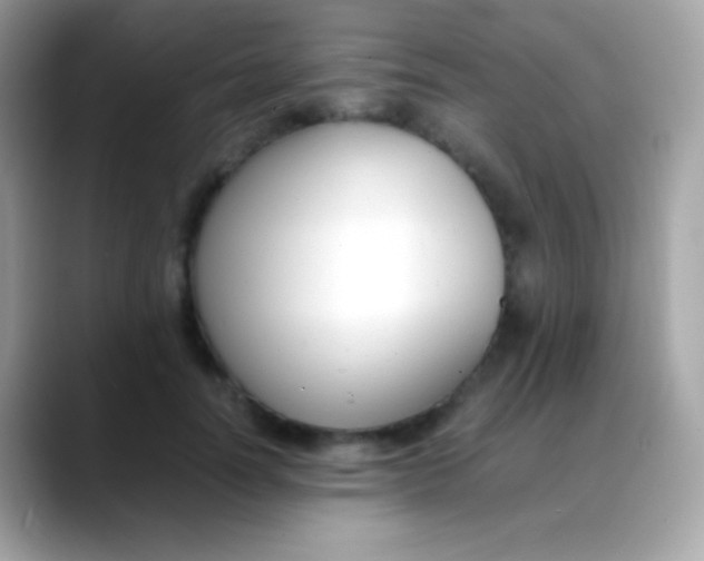 X0000088050746200706011342