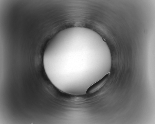 X0000088050748200706011342