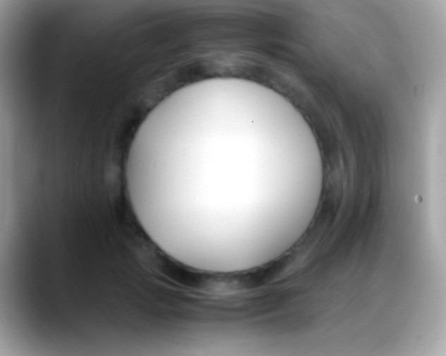X0000088050749200706011342