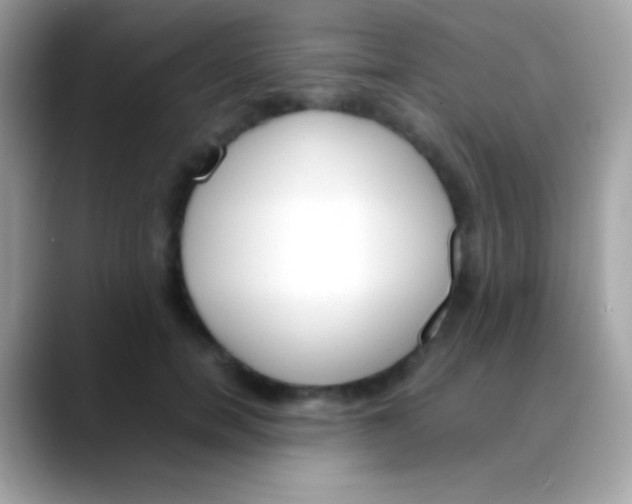 X0000088050750200706011342
