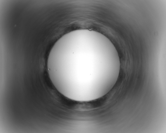 X0000088050752200706011342