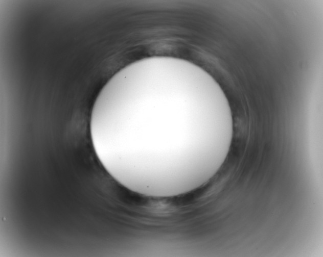 X0000088050753200706011342