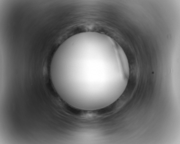 X0000088050754200706011342