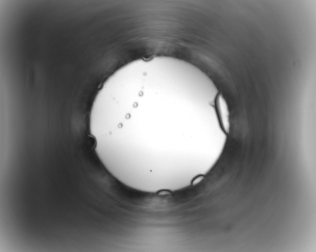 X0000088050756200706011342