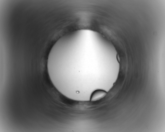 X0000088050758200706011342