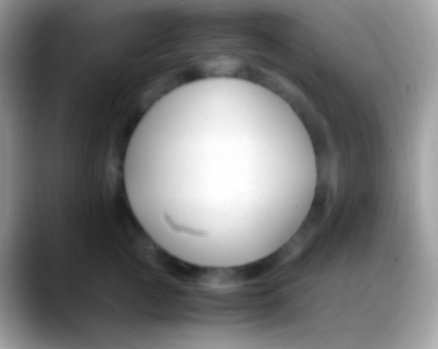 X0000088050761200706011342