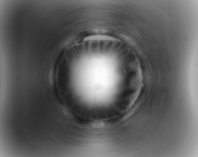 X0000088050762200706011342