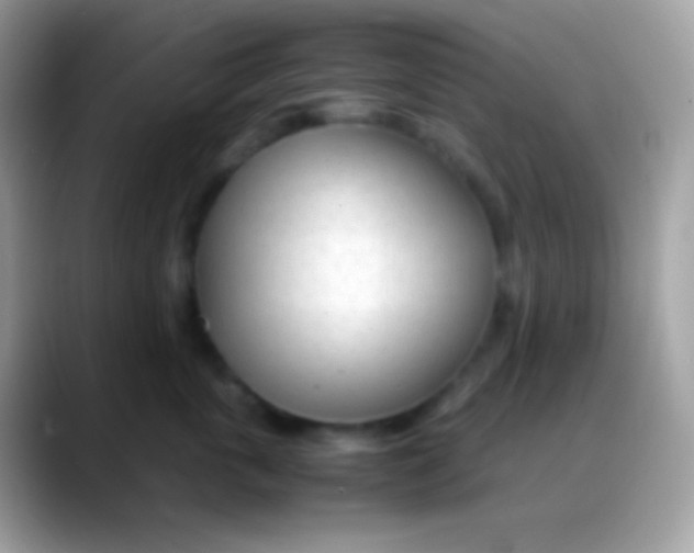 X0000088050763200706011342