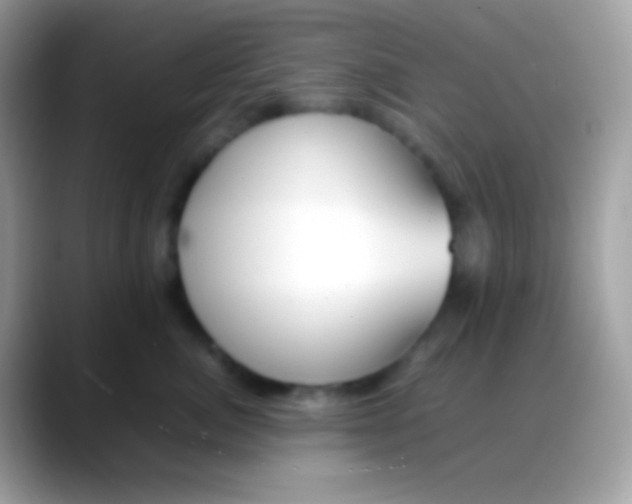 X0000088050764200706011342