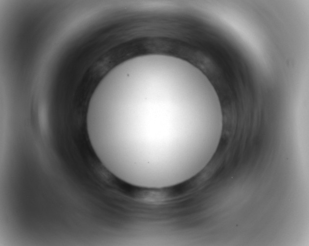 X0000088050765200706011342