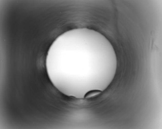 X0000088050768200706011342