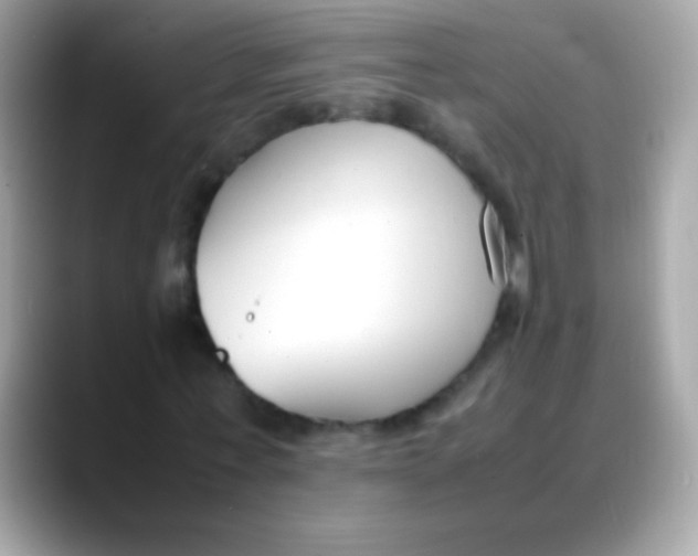 X0000088050771200706011341