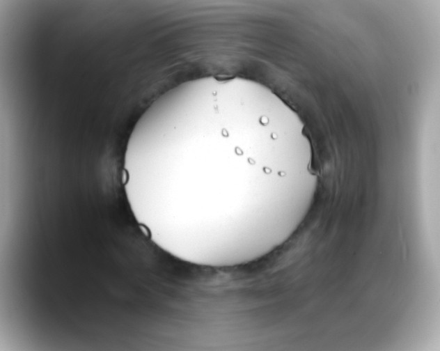 X0000088050772200706011341