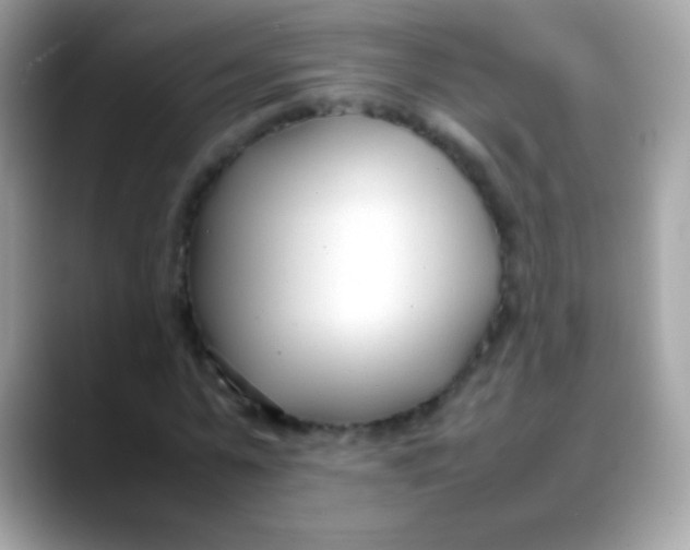 X0000088050775200706011341