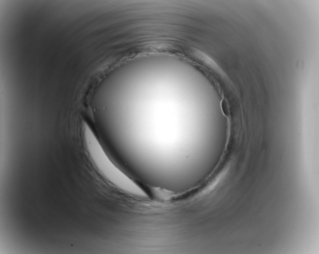 X0000088050777200706011341