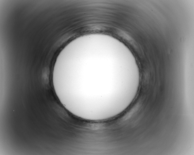 X0000088050778200706011341