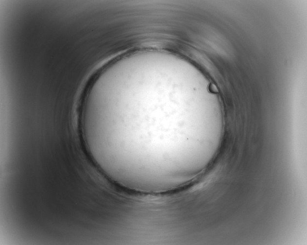 X0000088050779200706011341