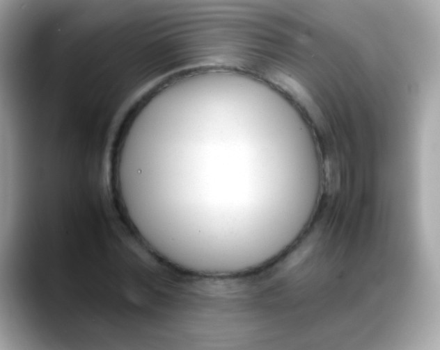 X0000088050780200706011341