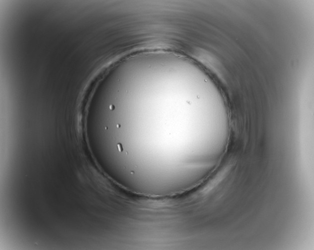 X0000088050781200706011341