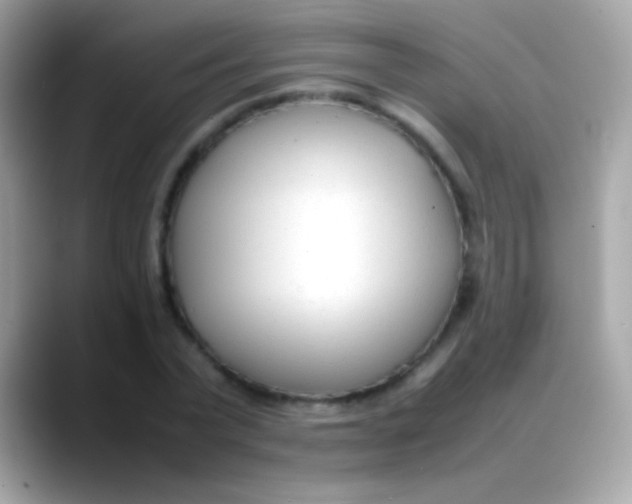 X0000088050783200706011341