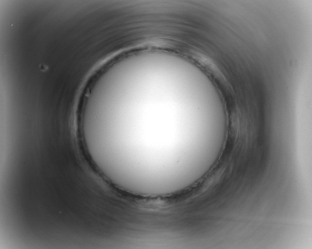 X0000088050784200706011341