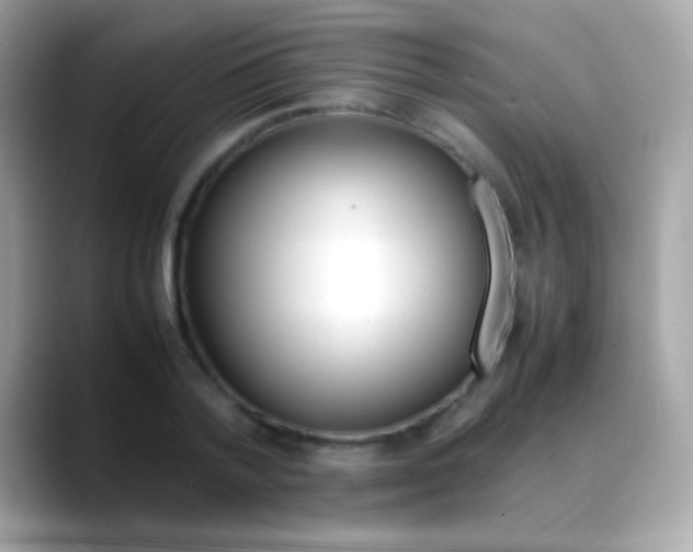 X0000088050788200706011341