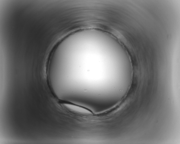 X0000088050789200706011341
