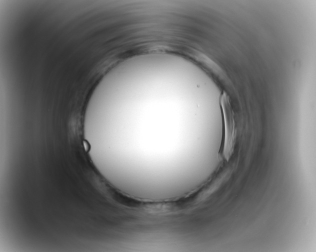 X0000088050793200706011341