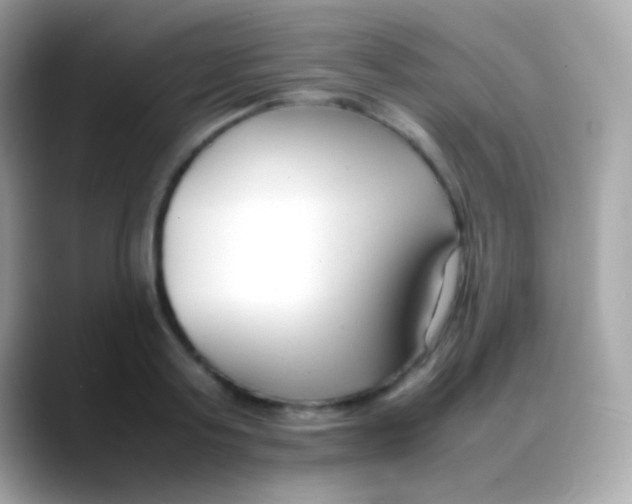 X0000088050795200706011341