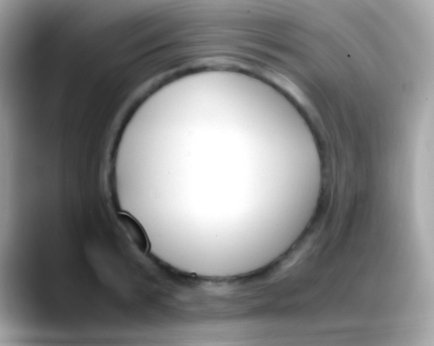 X0000088050799200706011341