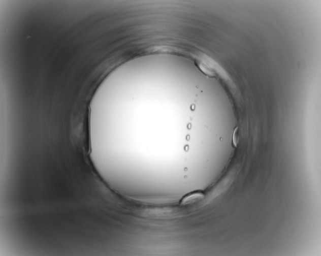 X0000088050801200706011341
